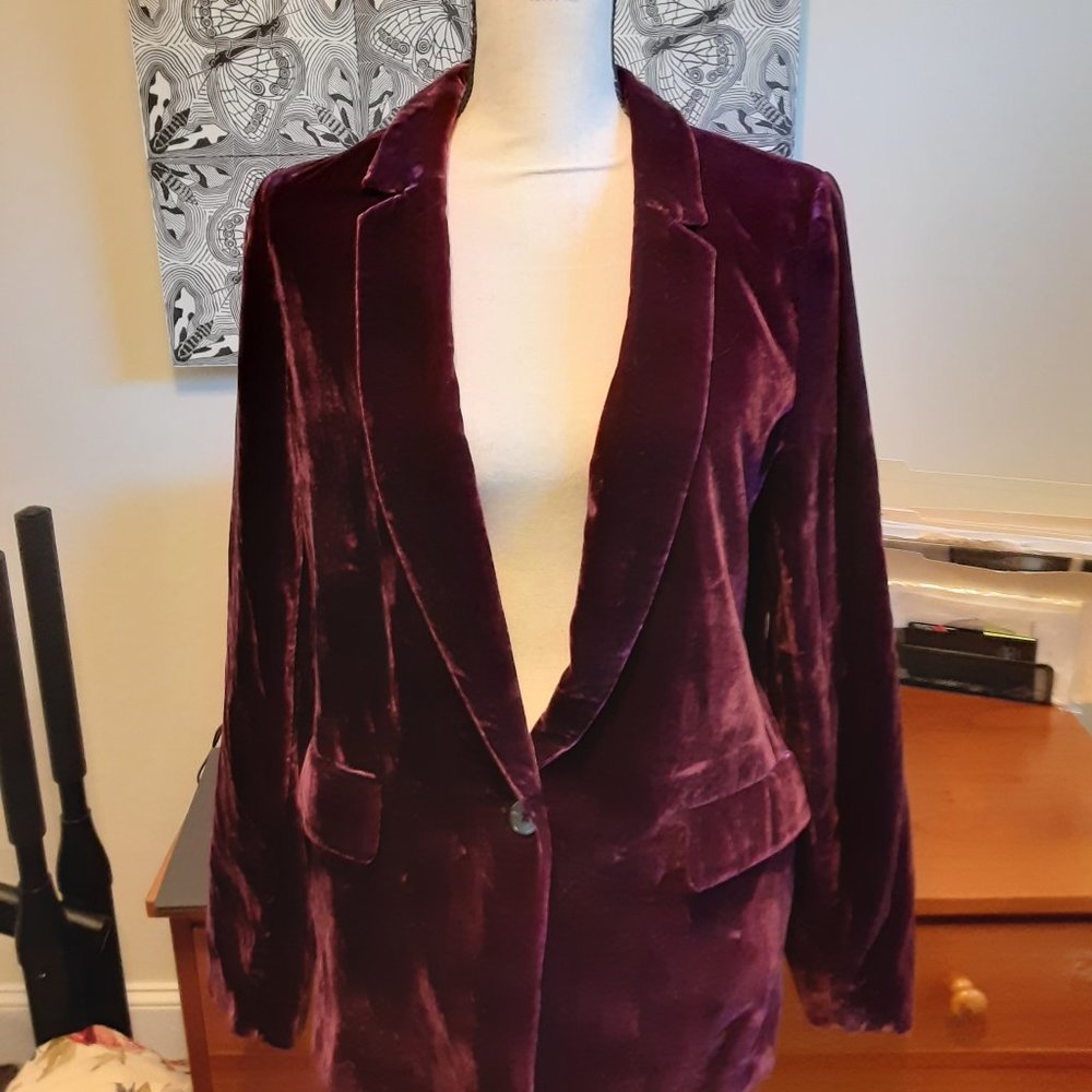 Banana Republic Velvet Blazer Cool '70s Vibe Size 8